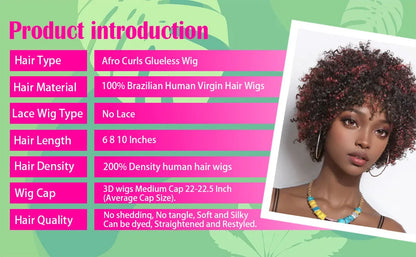 Dark Red Highlights Pixie Cut Wig  Glueless Wigs 2x1 Human Hair for Black Women Human Hair Afro Wigs Short Bob Wig With Bangs