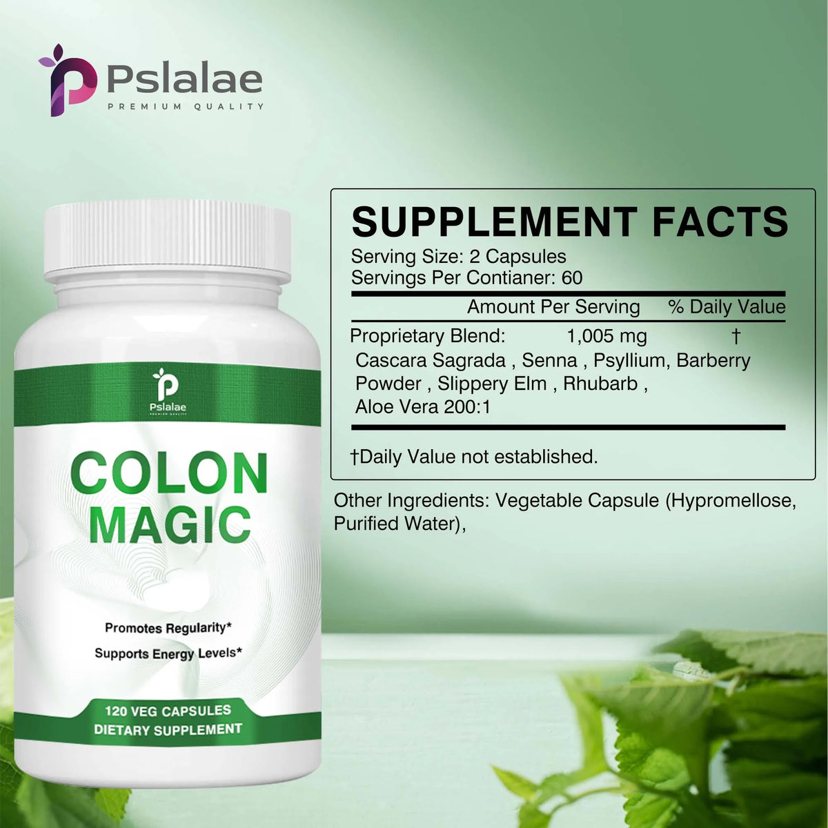 Colon Detox and Cleanse - Contains Psyllium Husk for A Healthy Stomach ...