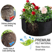 Load image into Gallery viewer, 10/40/50/100 Gallons fabric garden raised bed round planting container grow bags fabric planter pot for plants nursery pot

