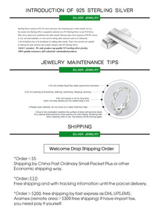 925 Sterling Silver Earrings For Women Trendy Simple Circle Handmade Earring Jewelry Prevent Allergy Party Accessories