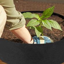 Load image into Gallery viewer, 10/40/50/100 Gallons fabric garden raised bed round planting container grow bags fabric planter pot for plants nursery pot
