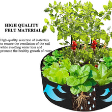 Load image into Gallery viewer, 10/40/50/100 Gallons fabric garden raised bed round planting container grow bags fabric planter pot for plants nursery pot

