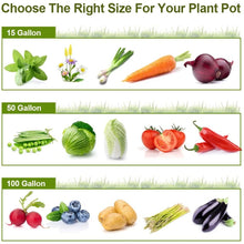 Load image into Gallery viewer, 10/40/50/100 Gallons fabric garden raised bed round planting container grow bags fabric planter pot for plants nursery pot
