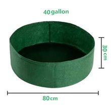 Load image into Gallery viewer, 10/40/50/100 Gallons fabric garden raised bed round planting container grow bags fabric planter pot for plants nursery pot
