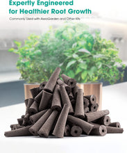 Load image into Gallery viewer, 50Pcs Seed Grow Sponges Replacement Root Growth Sponges Seedling Starter Plugs Seed Starting Seed Pod Hydroponic Garden Planting
