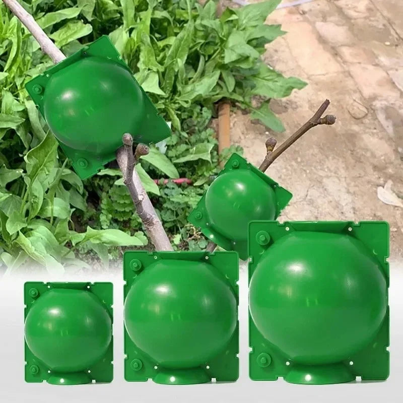 5Pcs Plant Rooting Ball Grafting Rooting Growing Box Breeding Seeding Case Container Nursery Box Garden Seeds Root