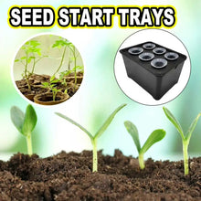 Load image into Gallery viewer, 1 36-piece hydroponic seedling starter kit, indoor soilless vegetable and herb growing system, perfect for balcony gardening
