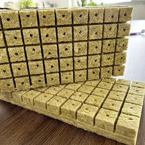 Green Seed Starter Cubes Surface for Optimal Germination, Ideal for Hydroponic and Soilless Planting, Vegetable Seed Compatible
