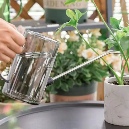 Watering Can, Small Watering Cans for House Plants, Succulents and Flowers,Long Spout,1 Liter,with Bonus Plant Spray Bottle
