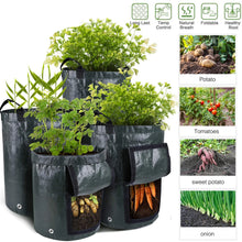 Load image into Gallery viewer, Potatoes Grow Bags 3/5/10 Gallon Gardening Plant Growing Bags for Potato Tomato Carrot &amp; Other Vegetable Planter Container
