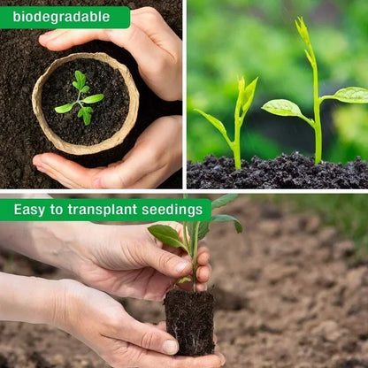 Coco Coir Seed Starter Plant Pots Biodegradable Nursery Pots Seedling Pots Germination Trays Labels Seed Sowing