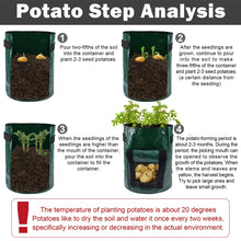 Load image into Gallery viewer, Potatoes Grow Bags 3/5/10 Gallon Gardening Plant Growing Bags for Potato Tomato Carrot &amp; Other Vegetable Planter Container
