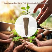 Load image into Gallery viewer, 50Pcs Seed Grow Sponges Replacement Root Growth Sponges Seedling Starter Plugs Seed Starting Seed Pod Hydroponic Garden Planting
