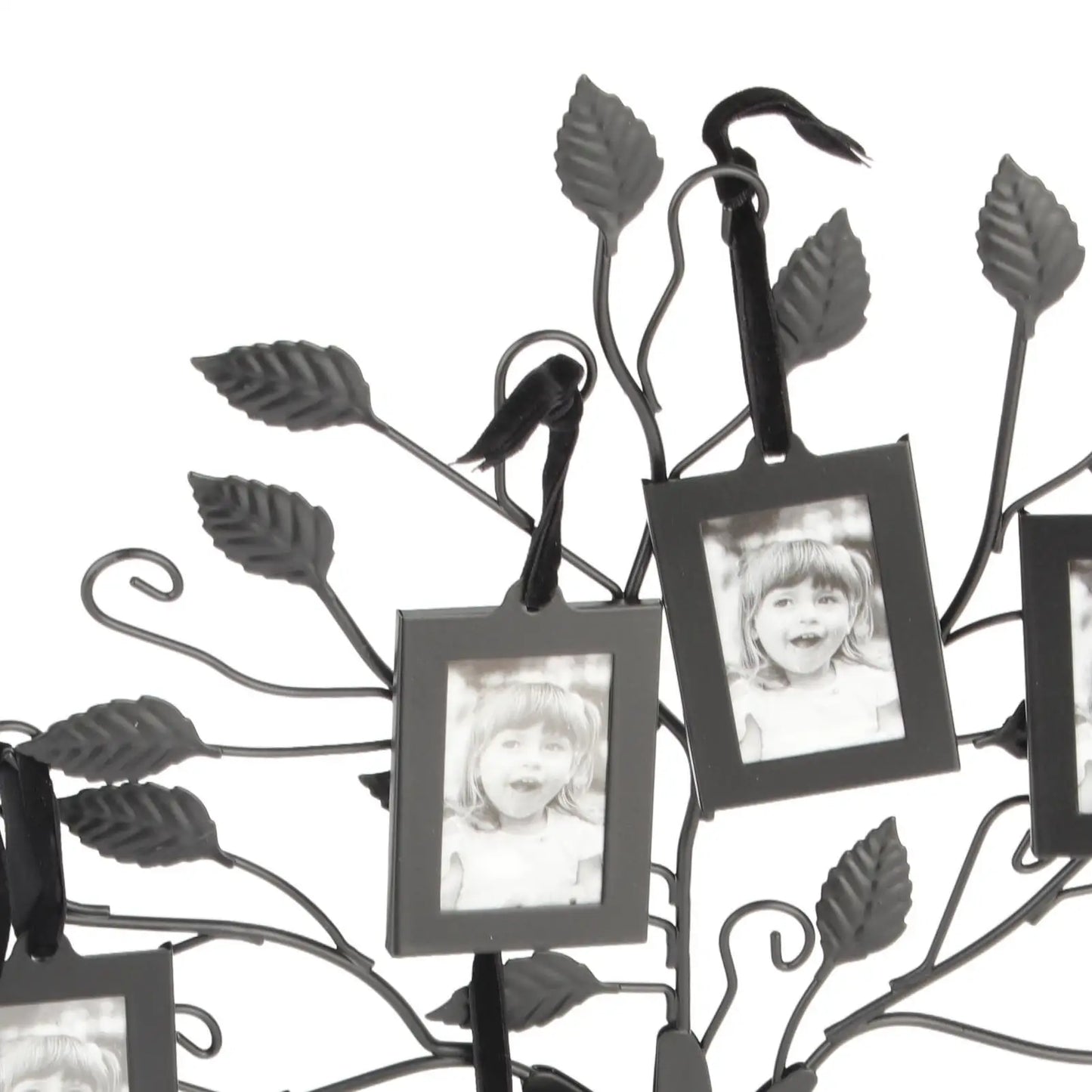 6pcs Family Tree Photo Frames Set - Stylish Hanging Picture Display for Home Decor