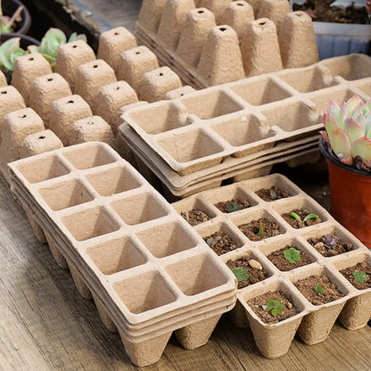 Seed Starter Tray Plants Growing Trays Germination Trays Organic Plant Starter Kit for Seed Growing Germination