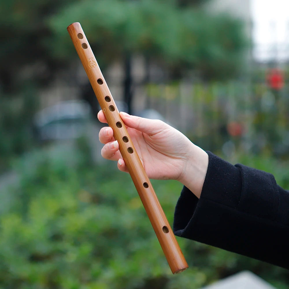 Traditional Wooden Flute C D E F G Key Recorder with Storage Bag  Beginner Gift  Educational Learning Woodwind Instrument