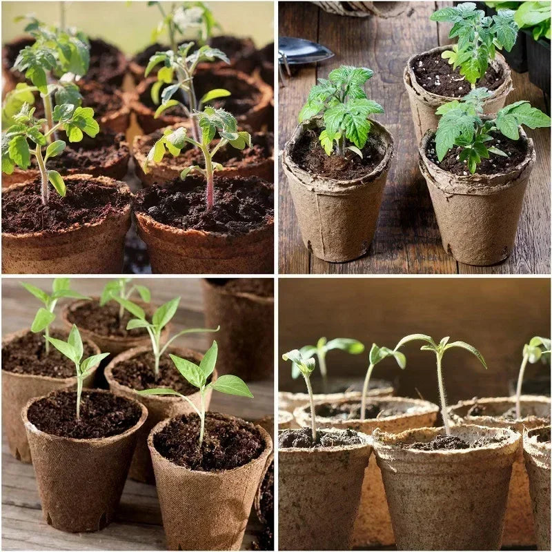 Coco Coir Seed Starter Plant Pots Biodegradable Nursery Pots Seedling Pots Germination Trays Labels Seed Sowing