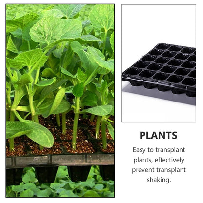 10 Pcs Seedling Tray Microgreens Germination Sprouting Seeds Starter Planters Trays Succulent Plants Hydroponic Hidroponia