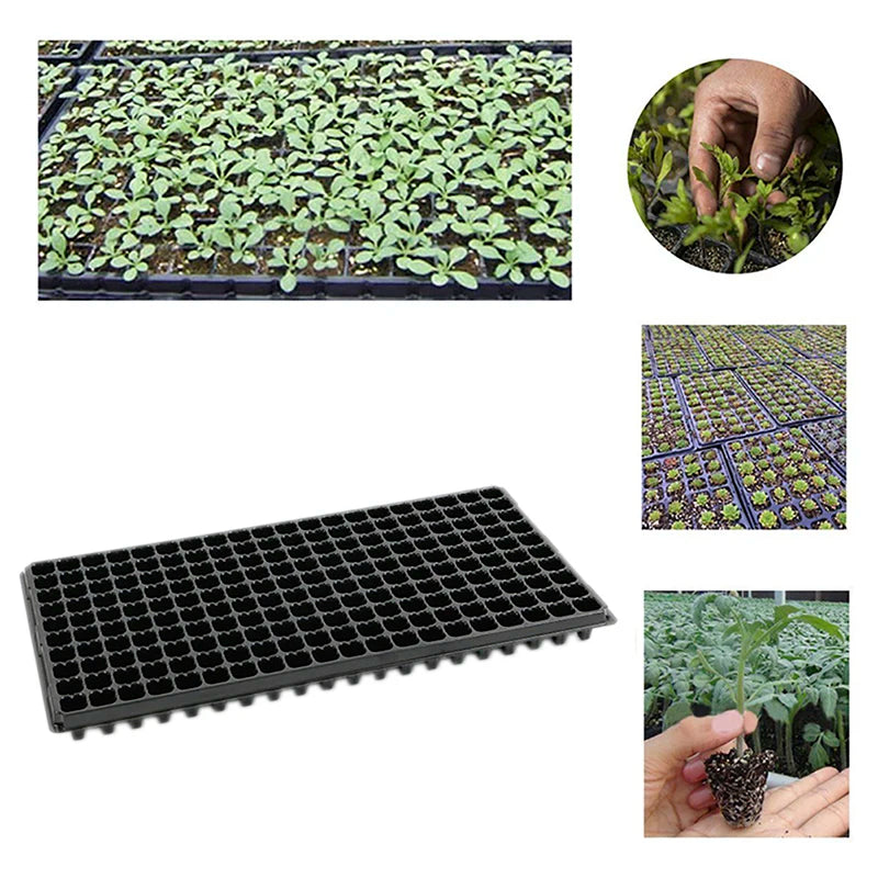200Cells Seedling Growing Cases Germination Plant Propagation Nursery Seed Tray