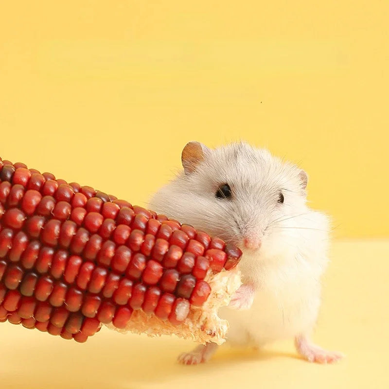Hamster Food Staple Food Molar Toys Golden Bear Rabbit Chinchilla Molar Corn Cob Molar Snack Hamster Toys