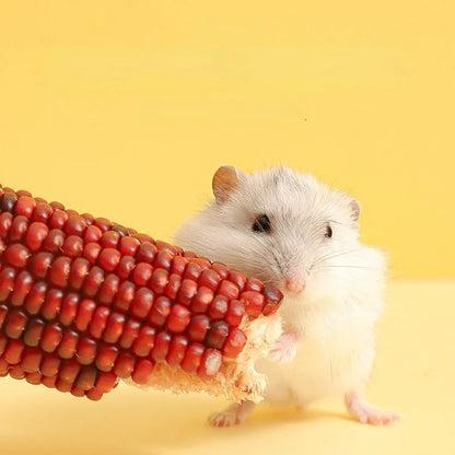 Hamster Food Staple Food Molar Toys Golden Bear Rabbit Chinchilla Molar Corn Cob Molar Snack Hamster Toys