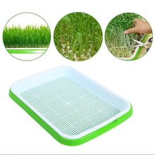 Load image into Gallery viewer, Germination Tray Seed Germination Tray Seedling Tray Wheatgrass Seed Planting Soilless Cultivation Planting Pot
