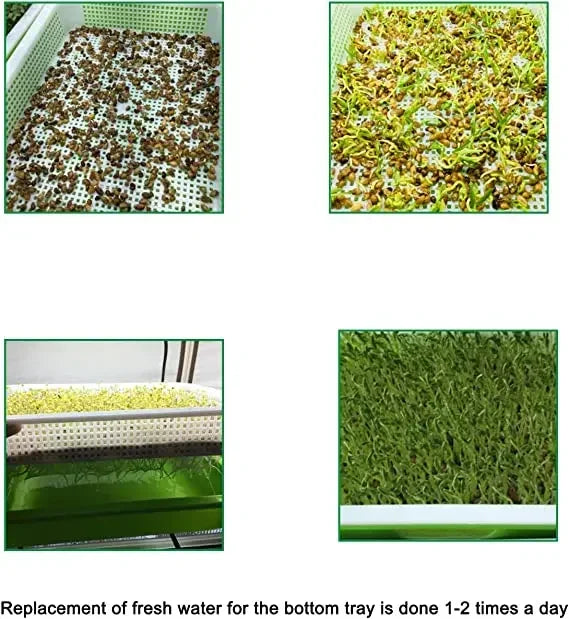 Germination Tray Seed Germination Tray Seedling Tray Wheatgrass Seed Planting Soilless Cultivation Planting Pot