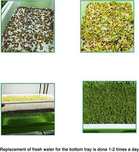 Load image into Gallery viewer, Germination Tray Seed Germination Tray Seedling Tray Wheatgrass Seed Planting Soilless Cultivation Planting Pot
