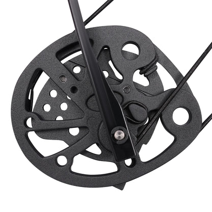 Compound Bow Kit 30~60lbs, Archery Hunting Bow Set with12 arrows and bullseye paper, Right Hand Compound Bow Arrow Set