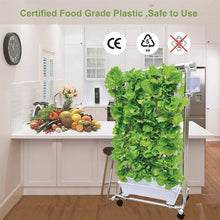 Load image into Gallery viewer, New Style Indoor Greenhouse Hydroponic Grow System Vertical Plant With Accesories
