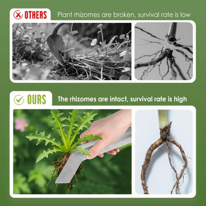 Seedling Transplant Tongs, Stainless Steel Seedling Remove Transplanting Pliers,   Reducing Root Damage (2PCS, Medium)