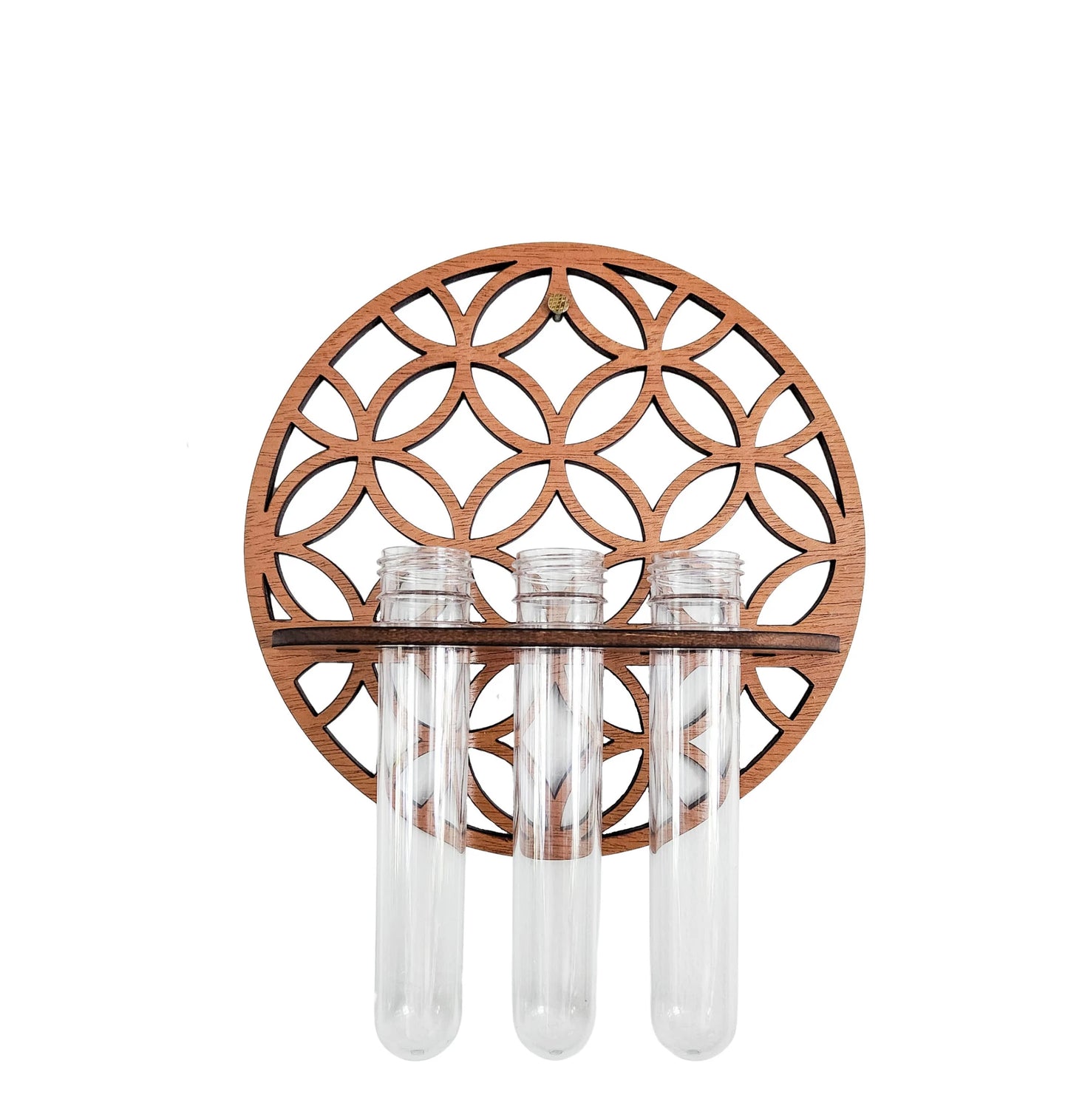 Garden Wall Planters Indoor Wooden Circle Plant Hanger Wall Hanging Flower Vase Rack with 3 Test Tubes Plant Propagation Station