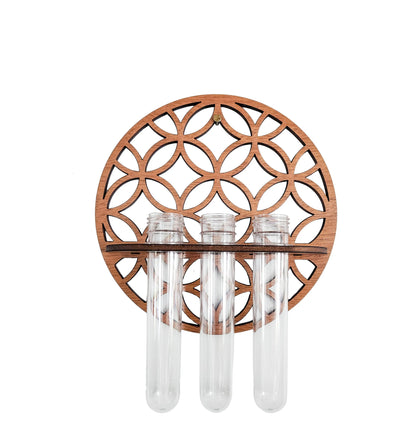 Garden Wall Planters Indoor Wooden Circle Plant Hanger Wall Hanging Flower Vase Rack with 3 Test Tubes Plant Propagation Station