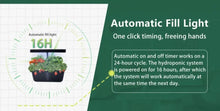 Load image into Gallery viewer, Plant Hydroponic Machine with Lifting Rod Planting Vegetables Intelligent Flowerpot Household LED Lights Hydroponic System

