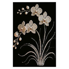 Load image into Gallery viewer, DIY Flower Pearl Diamond Art Kits for Adults/Beginners Gift Home Decor Art Pearl Gem Painting Picture 20*30CM Arts Craft
