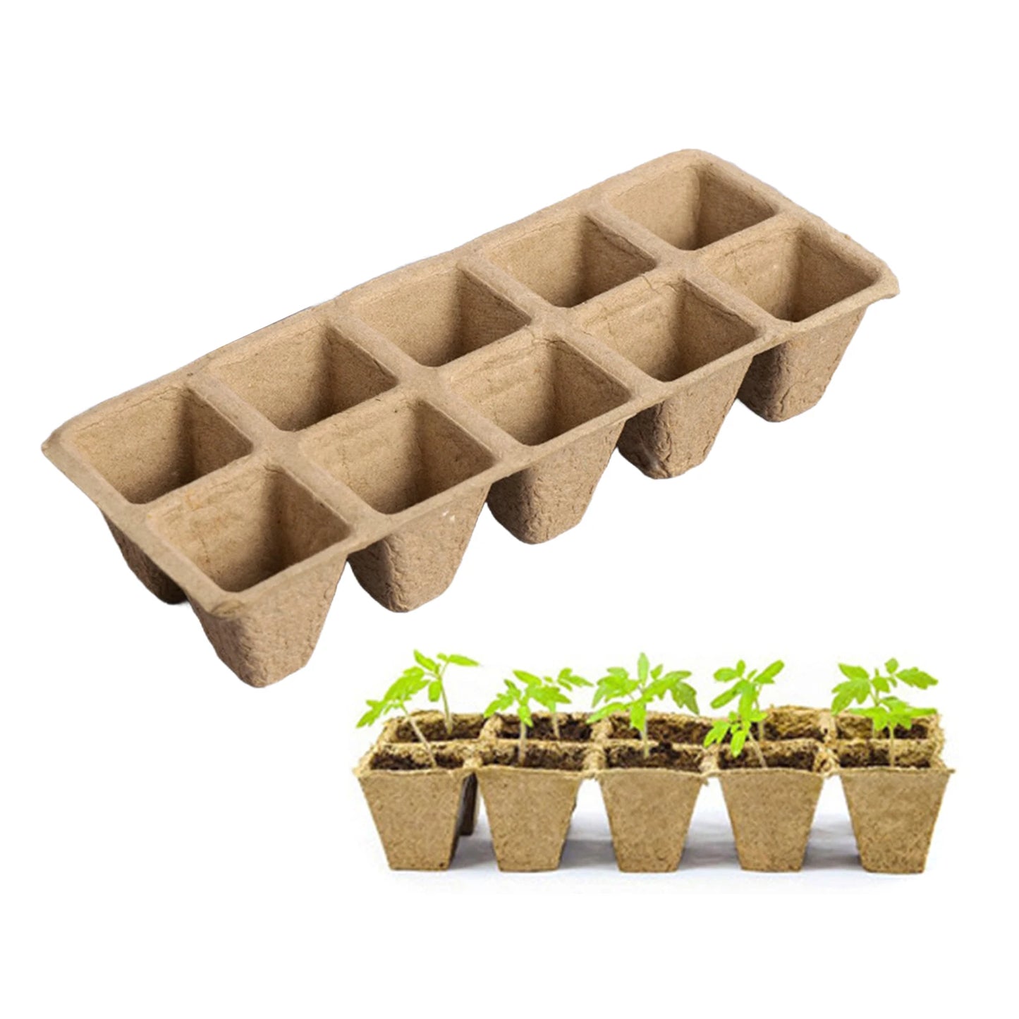 Seed Starter Tray Plants Growing Trays Germination Trays Organic Plant Starter Kit for Seed Growing Germination