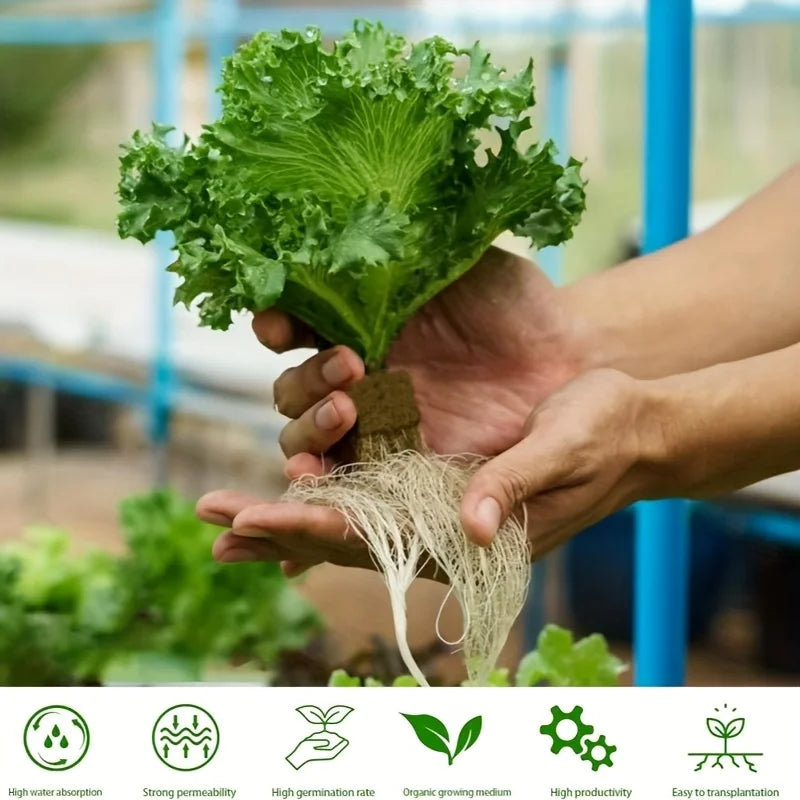 Green Seed Starter Cubes Surface for Optimal Germination, Ideal for Hydroponic and Soilless Planting, Vegetable Seed Compatible