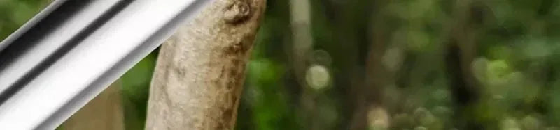 Garden Tree Pruning Scissors Universal Cutters Stainless Steel Pruning Shears Gardening Pruners High Branch Telescopic Hand Tool