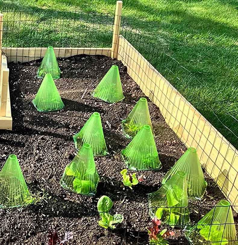 Seedling Protective Cover Accessories Plant Garden Greenhouses Vegetable Seedlings Grow Nursery Outdoor Greenhouse Supplies