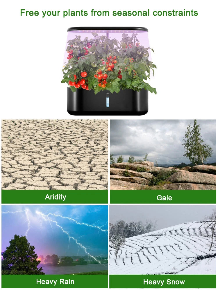 Intelligent Hydroponic Growing System Indoor Planting Machine Garden Plant Vegetable Planter Pot Automatic Timer LED Growth Lamp