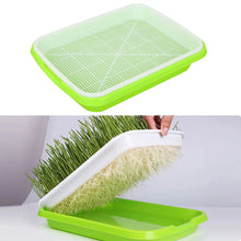 Load image into Gallery viewer, Germination Tray Seed Germination Tray Seedling Tray Wheatgrass Seed Planting Soilless Cultivation Planting Pot
