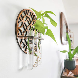 Garden Wall Planters Indoor Wooden Circle Plant Hanger Wall Hanging Flower Vase Rack with 3 Test Tubes Plant Propagation Station