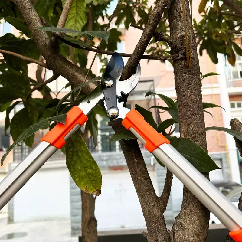 Garden Pruner Pruning Shears Scissors Pliers Tree Branch Cut Cutter Landscaping Bonsai Gardening Professional Tools