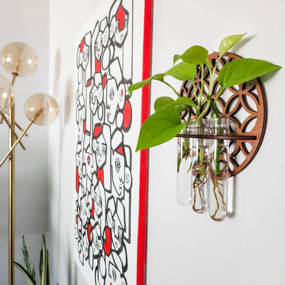Garden Wall Planters Indoor Wooden Circle Plant Hanger Wall Hanging Flower Vase Rack with 3 Test Tubes Plant Propagation Station