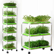 Load image into Gallery viewer, Germination Tray Seed Germination Tray Seedling Tray Wheatgrass Seed Planting Soilless Cultivation Planting Pot
