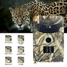Load image into Gallery viewer, 40446476779584
