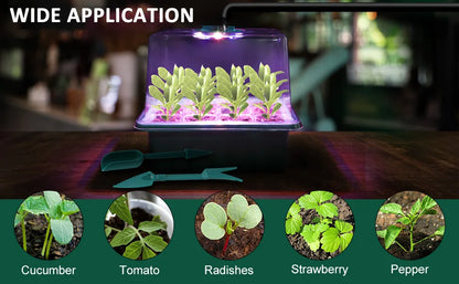 Seed starter tray with grow lights, 1 seed germination kit with adjustable humidity dome, seedling starter tray with raised lid.