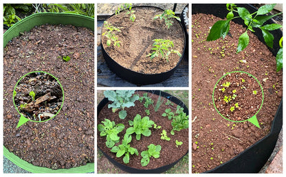 10/40/50/100 Gallons fabric garden raised bed round planting container grow bags fabric planter pot for plants nursery pot