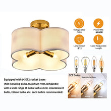 Load image into Gallery viewer, Elegant Ceiling Light: Durable, Bright Illumination with Simple Design, Perfect for Home Décor &amp; Housewarming Gifts
