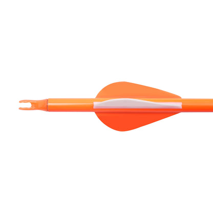 Compound Bow Kit 30~60lbs, Archery Hunting Bow Set with12 arrows and bullseye paper, Right Hand Compound Bow Arrow Set